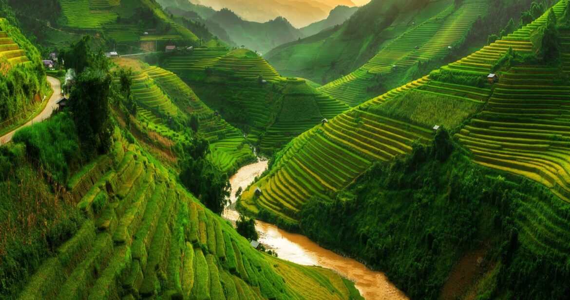 vietnam (1)