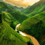 English to Vietnamese