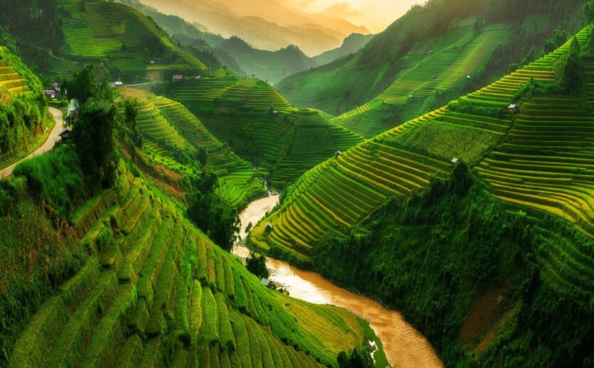 vietnam (1)